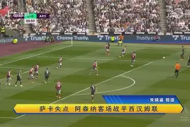 官方网站-关于欧国联评述：阿森纳主场战平西汉姆联，积分榜位置无变的信息