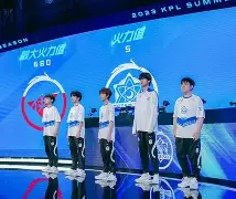 瓦伦西亚惜败，战绩持续波动不定(瓦伦西亚怎么了)